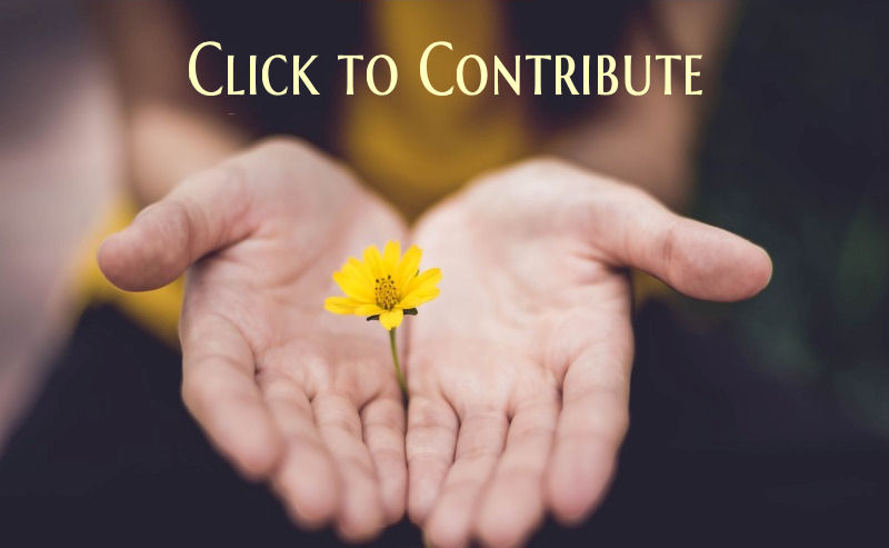 To make a donation via VANCO click or tap here